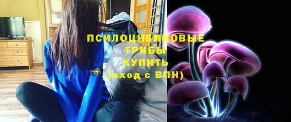 mdma Горняк
