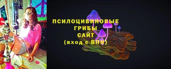 тгк Горно-Алтайск