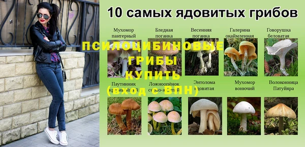 mdma Горняк