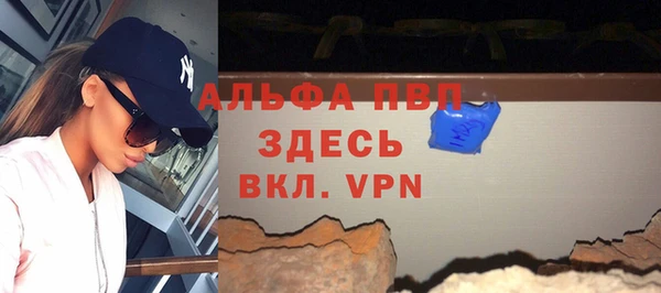 тгк Горно-Алтайск